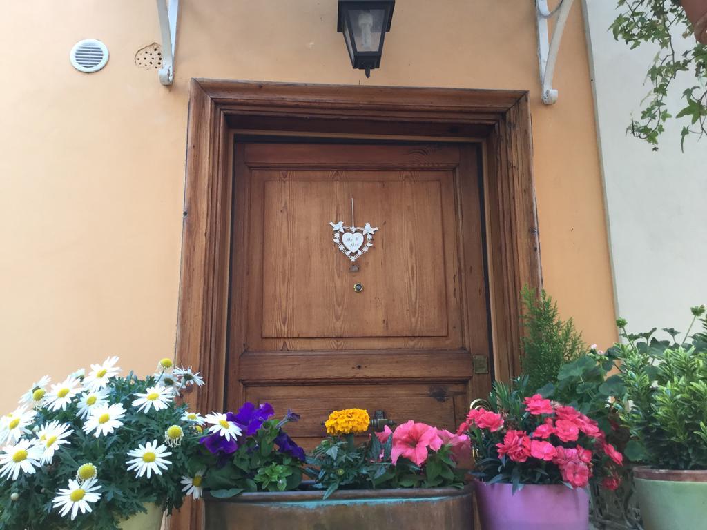 Gianicolo Penny's Garden Ferienhaus *