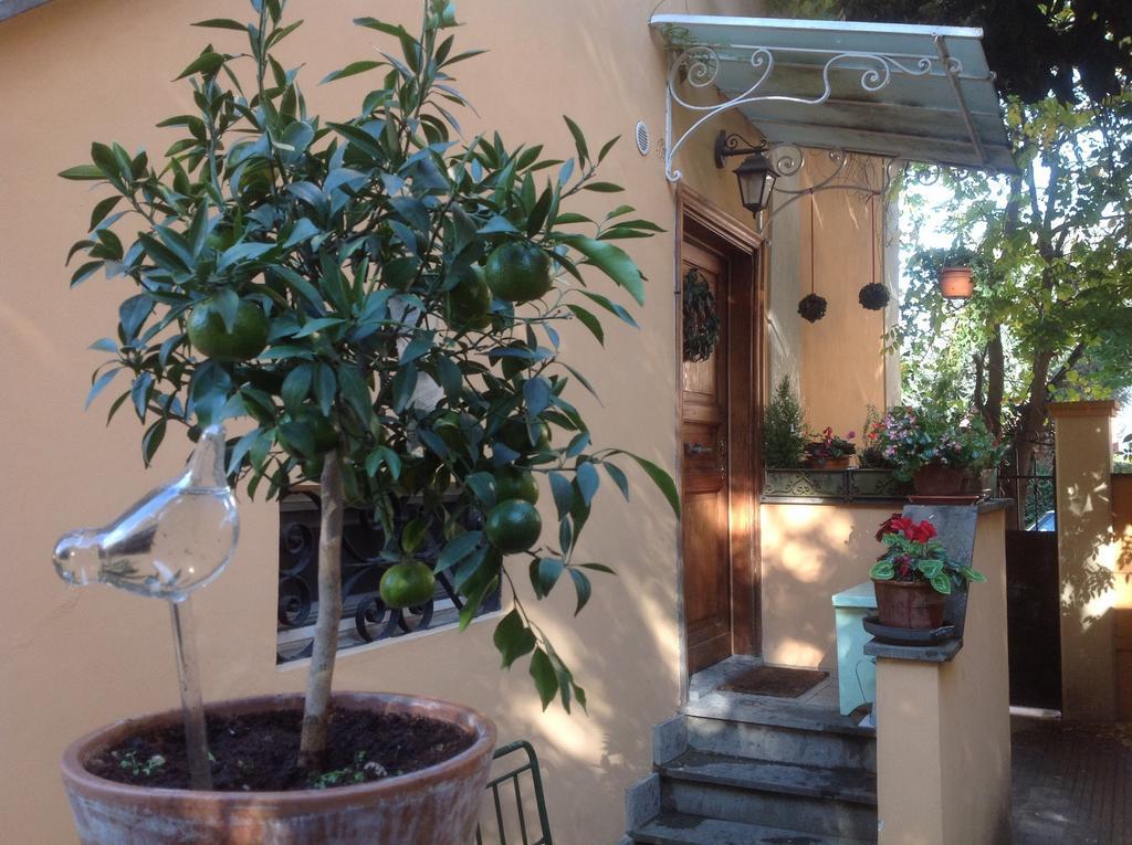 Gianicolo Penny's Garden Ferienhaus