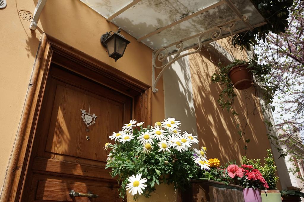 Gianicolo Penny's Garden Ferienhaus